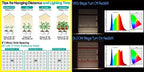 Grow Tent Growbox Hydroponics Growing System Led Grow Plant Lights Full Kits High PPFD 4Inch Duct Fans Activated Carbon Filter